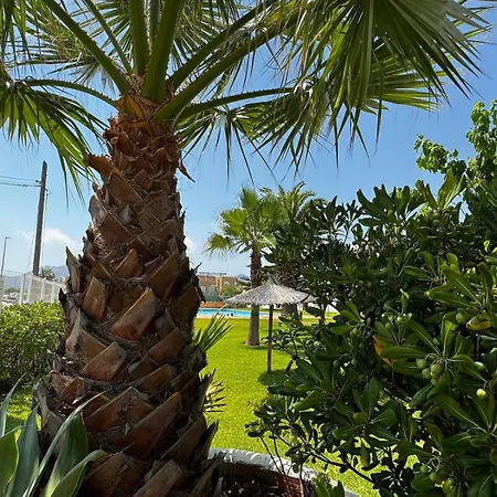 Oasis On The Holiday home *